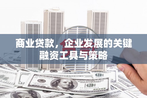 大林商业贷款，企业发展的关键融资工具与策略