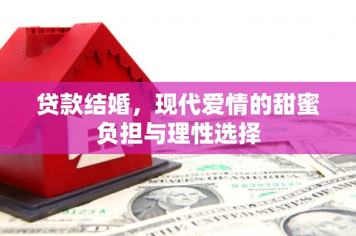 大林贷款结婚，现代爱情的甜蜜负担与理性选择