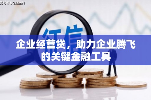 大林企业经营贷，助力企业腾飞的关键金融工具