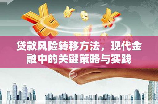 大林贷款风险转移方法，现代金融中的关键策略与实践