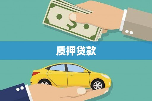 大林质押贷款