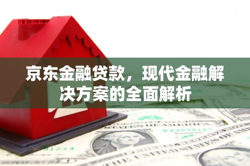大林京东金融贷款，现代金融解决方案的全面解析