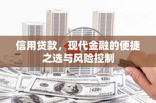大林信用贷款，现代金融的便捷之选与风险控制