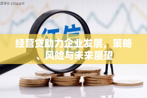 大林经营贷助力企业发展，策略、风险与未来展望