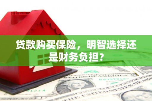 大林贷款购买保险，明智选择还是财务负担？