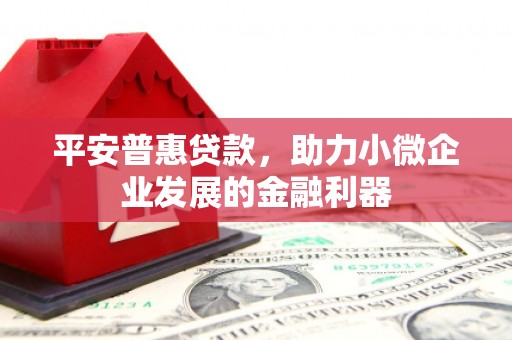大林平安普惠贷款，助力小微企业发展的金融利器