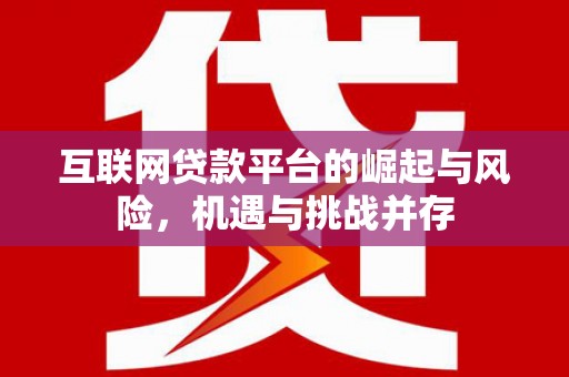大林互联网贷款平台的崛起与风险，机遇与挑战并存