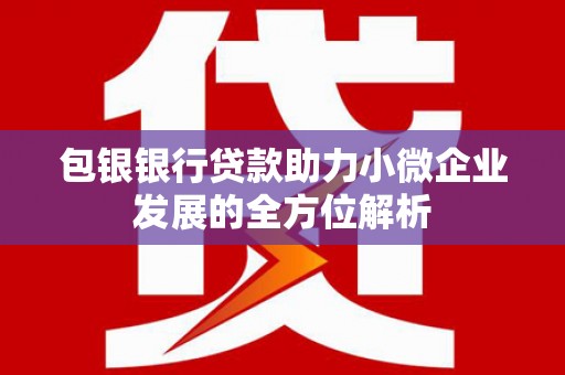大林包银银行贷款助力小微企业发展的全方位解析 大林包银银行贷款助力小微企业发展的全方位解析