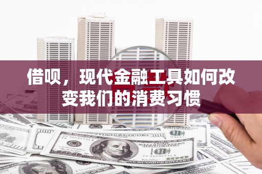大林借呗，现代金融工具如何改变我们的消费习惯