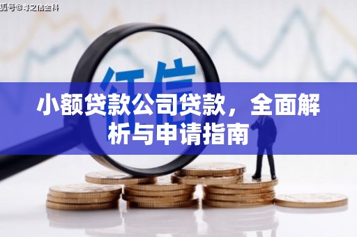 大林小额贷款公司贷款，全面解析与申请指南