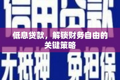 大林低息贷款，解锁财务自由的关键策略