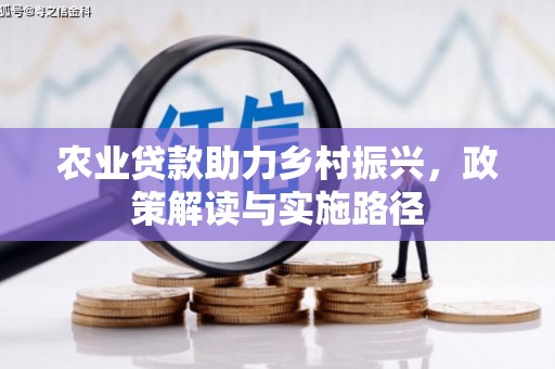 大林农业贷款助力乡村振兴，政策解读与实施路径
