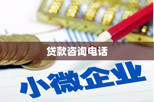 大林贷款咨询电话