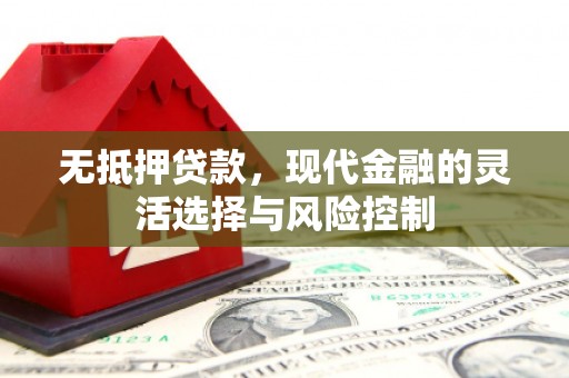 大林无抵押贷款，现代金融的灵活选择与风险控制
