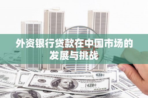 大林外资银行贷款在中国市场的发展与挑战