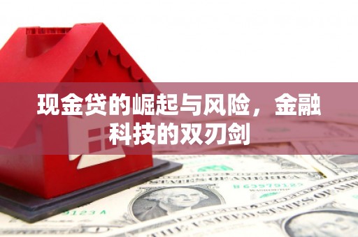 大林现金贷的崛起与风险，金融科技的双刃剑