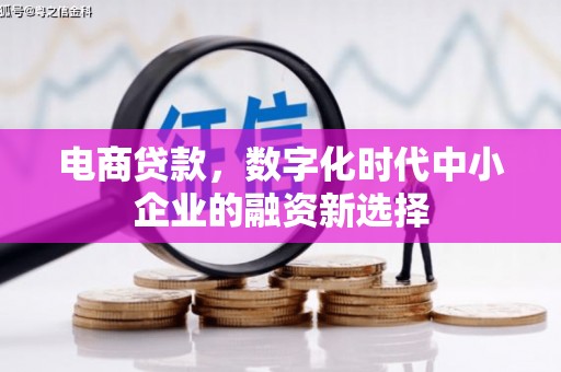 大林电商贷款，数字化时代中小企业的融资新选择