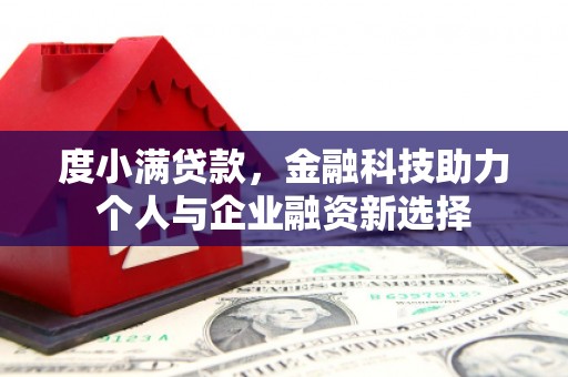 大林度小满贷款，金融科技助力个人与企业融资新选择