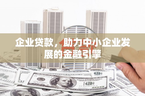 大林企业贷款，助力中小企业发展的金融引擎