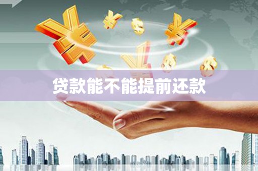 大林贷款能不能提前还款
