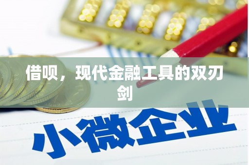 大林借呗，现代金融工具的双刃剑