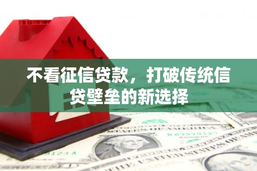 大林不看征信贷款，打破传统信贷壁垒的新选择