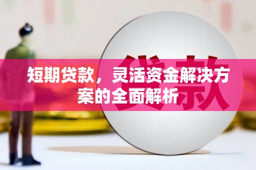 大林短期贷款，灵活资金解决方案的全面解析