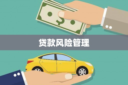 大林贷款风险管理