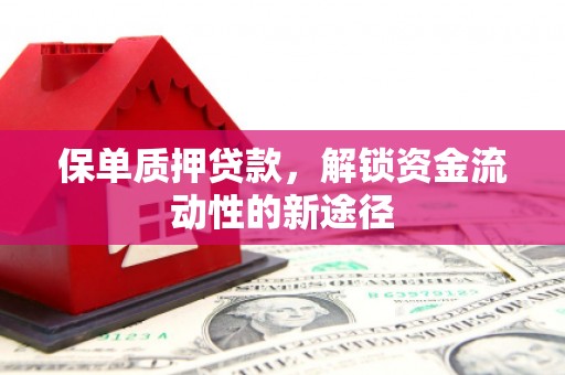 大林保单质押贷款，解锁资金流动性的新途径