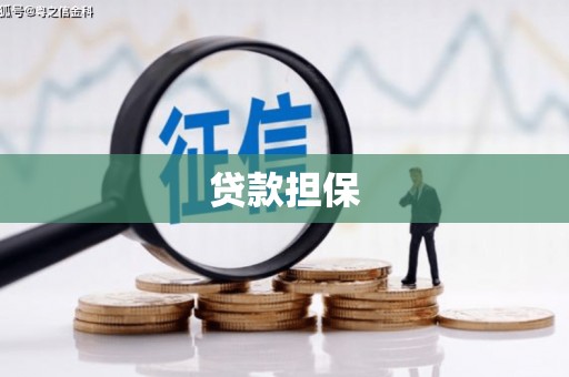 大林贷款担保