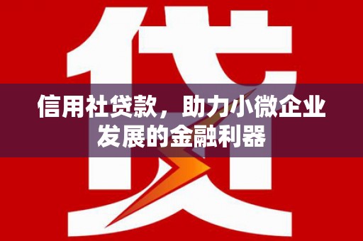 大林信用社贷款，助力小微企业发展的金融利器