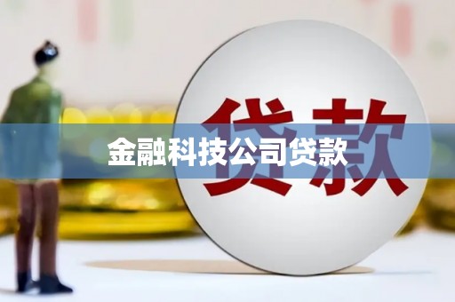 大林金融科技公司贷款