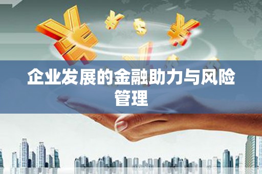 大林企业发展的金融助力与风险管理