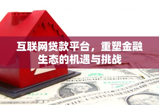 大林互联网贷款平台，重塑金融生态的机遇与挑战