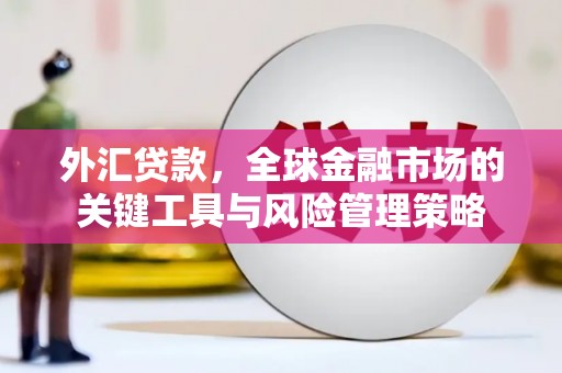 大林外汇贷款，全球金融市场的关键工具与风险管理策略