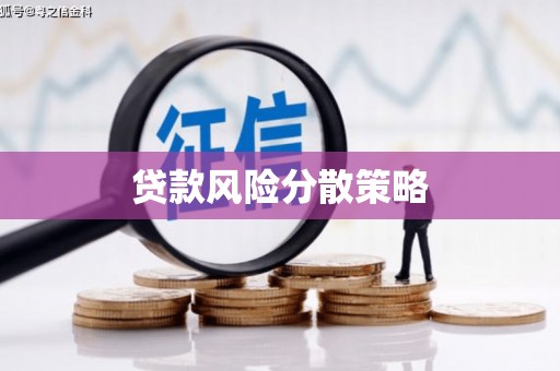 大林贷款风险分散策略