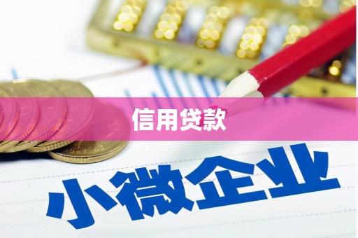 大林信用贷款