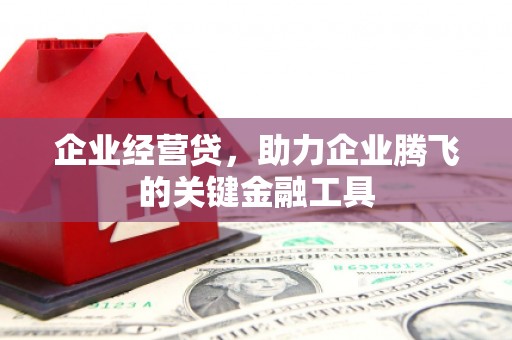 大林企业经营贷，助力企业腾飞的关键金融工具