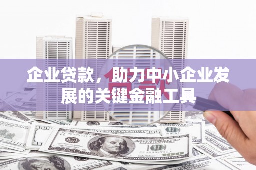 大林企业贷款，助力中小企业发展的关键金融工具