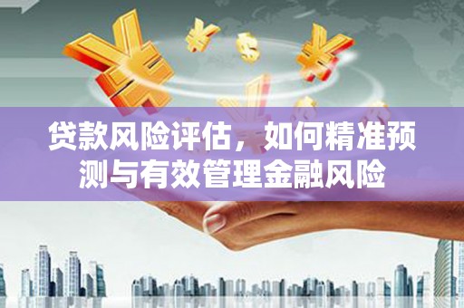 大林贷款风险评估，如何精准预测与有效管理金融风险