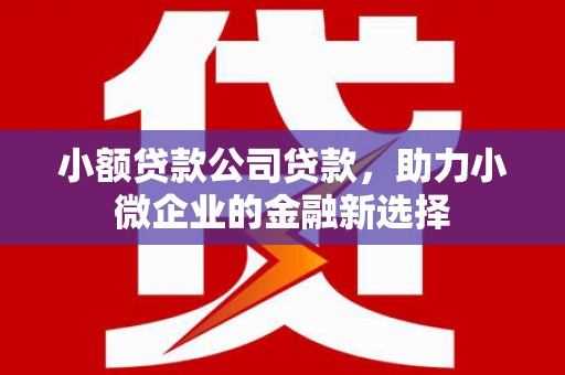 大林小额贷款公司贷款，助力小微企业的金融新选择