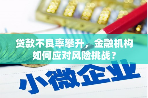 大林贷款不良率攀升，金融机构如何应对风险挑战？