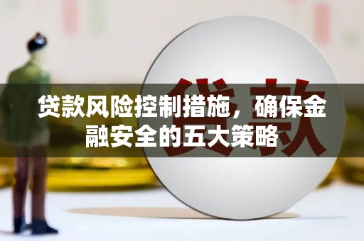 大林贷款风险控制措施，确保金融安全的五大策略