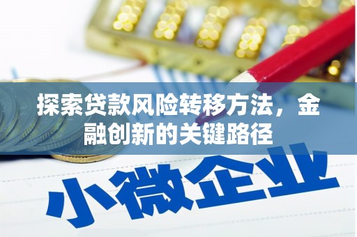 大林探索贷款风险转移方法，金融创新的关键路径
