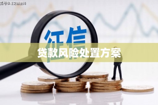大林贷款风险处置方案