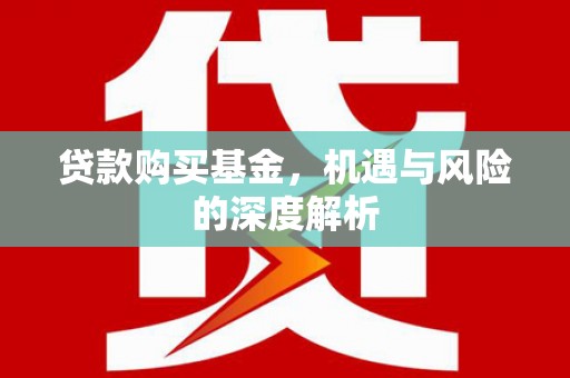 大林贷款购买基金，机遇与风险的深度解析