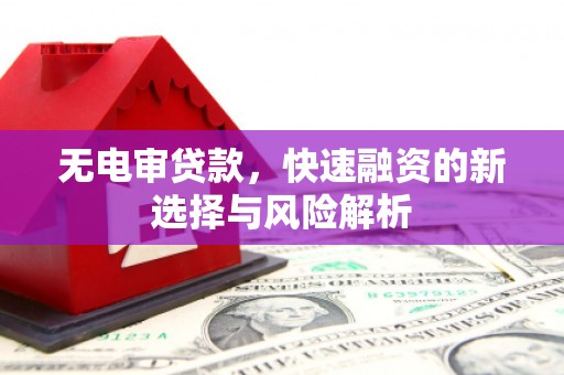 大林无电审贷款，快速融资的新选择与风险解析