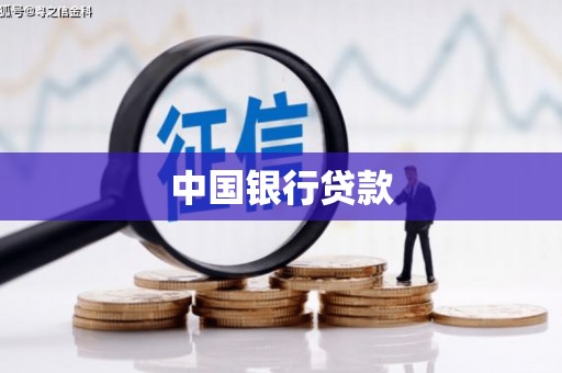 大林中国银行贷款