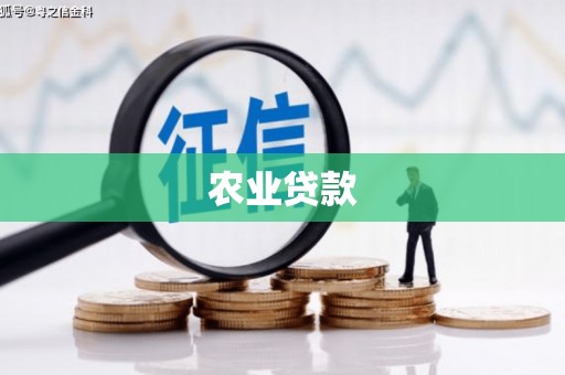 大林农业贷款