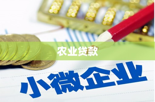 大林农业贷款